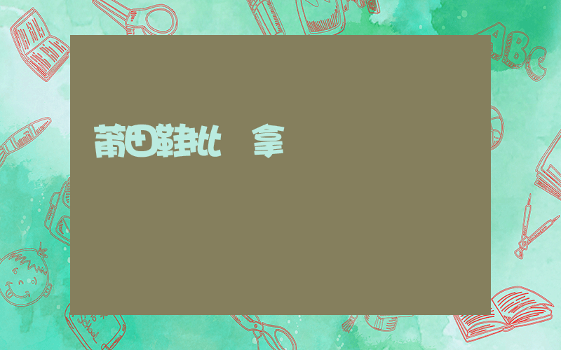 莆田鞋批發拿貨插圖