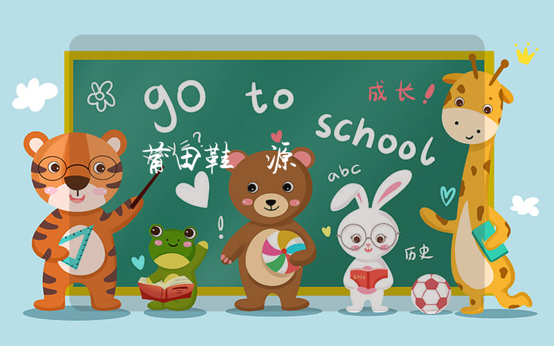 莆田鞋貨源網插圖