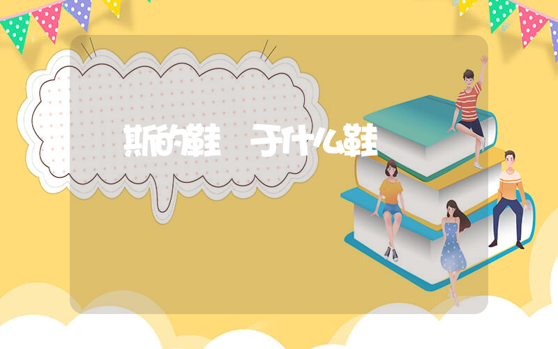 萬斯的鞋屬于什么鞋插圖