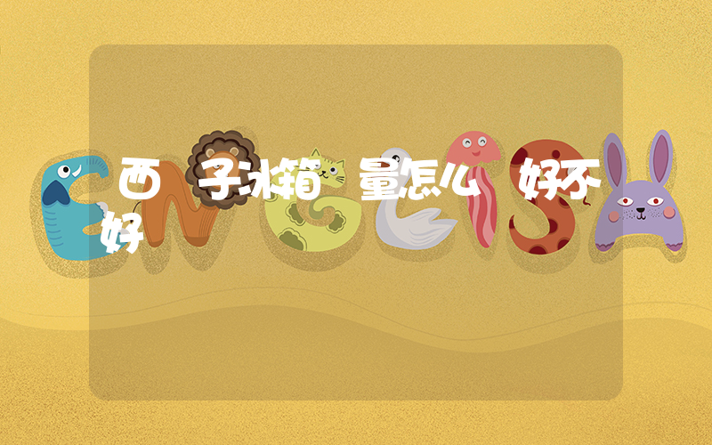 西門子冰箱質量怎么樣好不好插圖