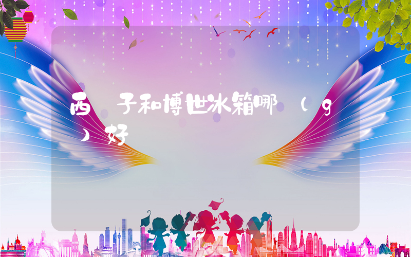 西門子和博世冰箱哪個(gè)好插圖