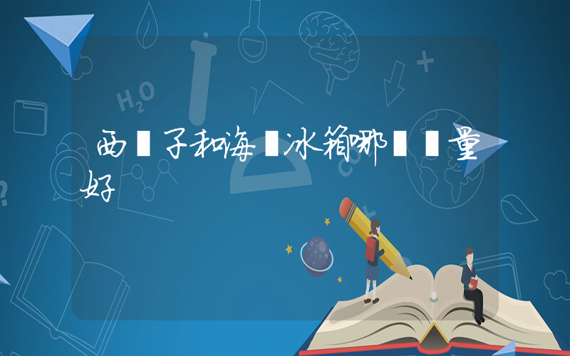西門子和海爾冰箱哪個質量好插圖