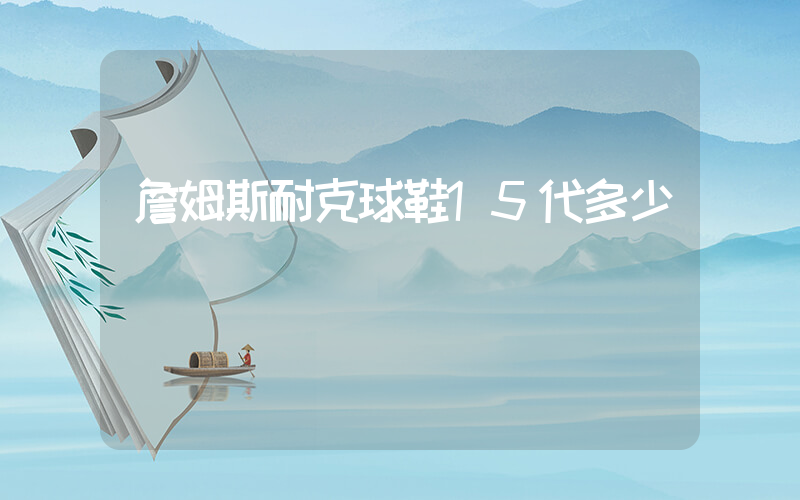 詹姆斯耐克球鞋15代多少錢插圖