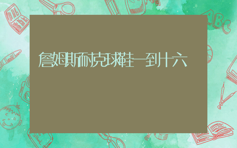 詹姆斯耐克球鞋一到十六插圖