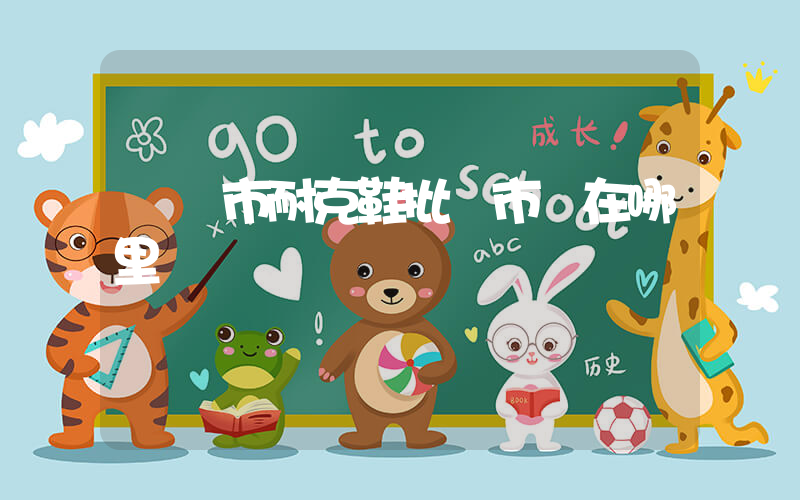 資陽市耐克鞋批發市場在哪里插圖