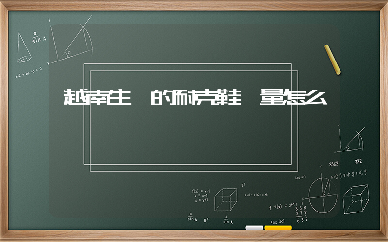 越南生產的耐克鞋質量怎么樣插圖