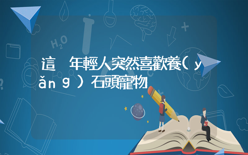 這屆年輕人突然喜歡養(yǎng)石頭寵物插圖