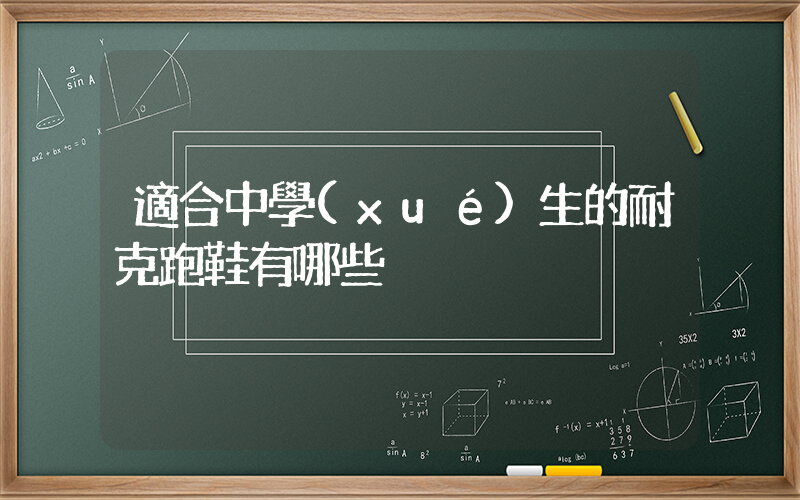 適合中學(xué)生的耐克跑鞋有哪些插圖
