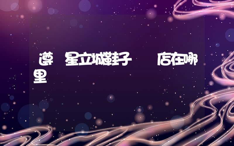 遵義星立城鞋子專買店在哪里插圖