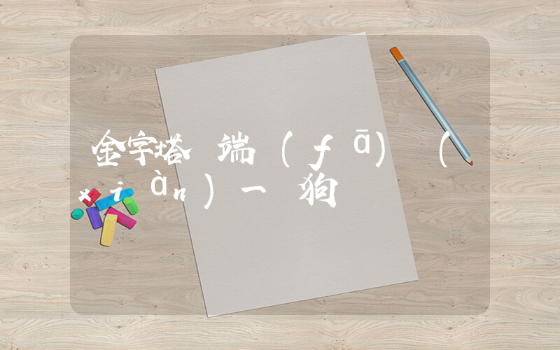 金字塔頂端發(fā)現(xiàn)一條狗插圖