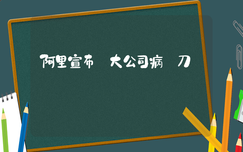 阿里宣布對大公司病開刀插圖