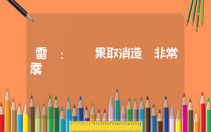 雷軍：對蘋果取消造車非常震驚插圖