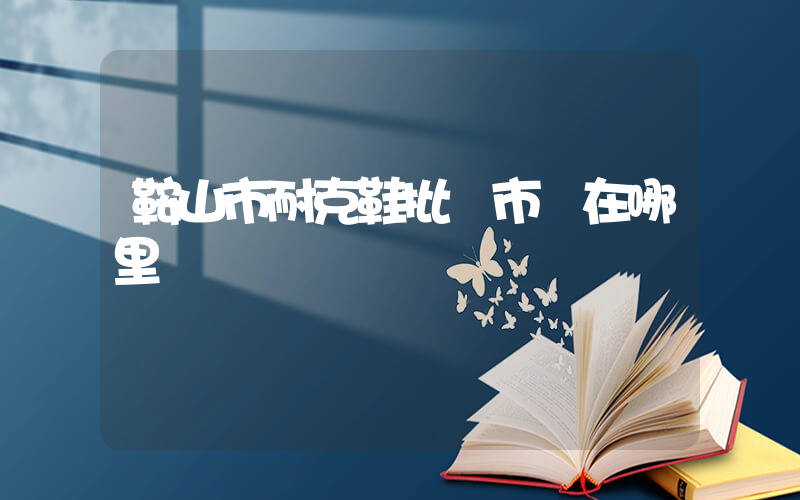 鞍山市耐克鞋批發市場在哪里插圖