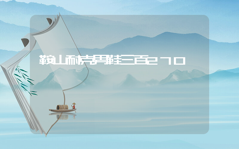 鞍山耐克男鞋三百270插圖