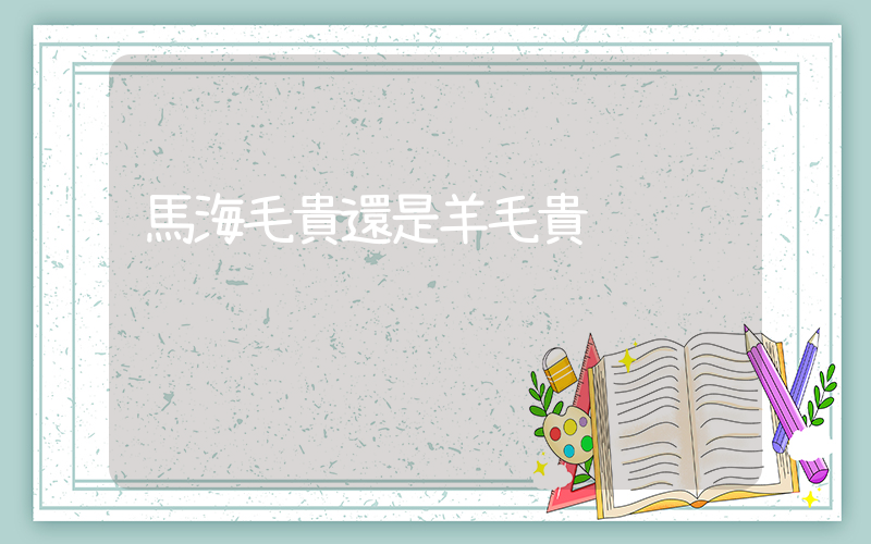 馬海毛貴還是羊毛貴插圖