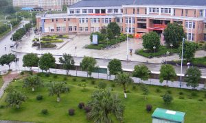 00后選什么專業(yè)？大學(xué)新增專業(yè)三宗“最”縮略圖