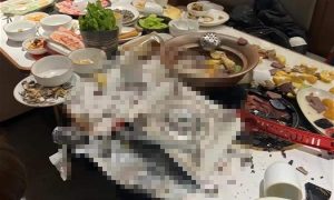 19歲女子生日宴吃火鍋遇卡式爐爆燃縮略圖