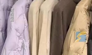 羽絨服漲價(jià)與豬有關(guān)縮略圖 羽絨服漲價(jià)與豬有關(guān)縮略圖