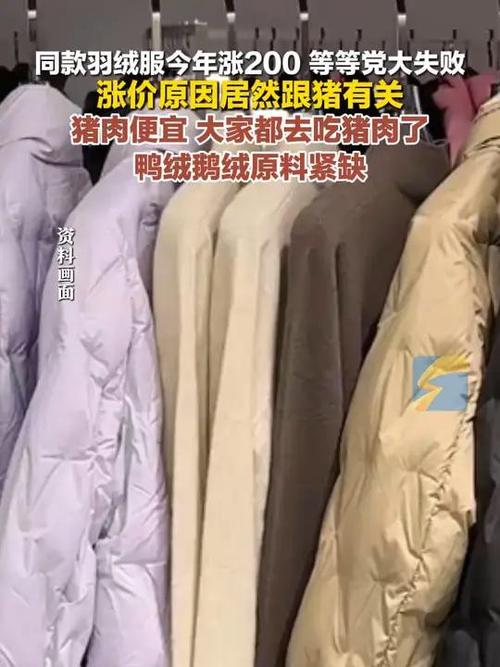 羽絨服漲價(jià)與豬有關(guān)插圖