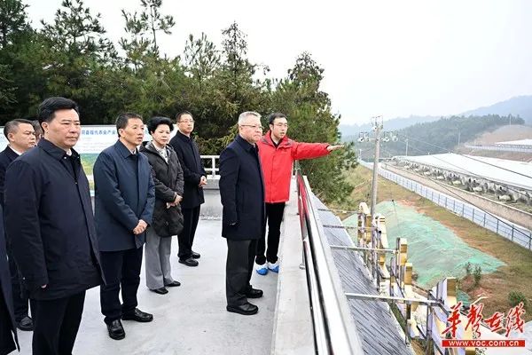 湖南省委書記暗訪到地頭插圖 湖南省委書記暗訪到地頭插圖