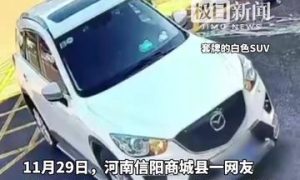 開套牌車還打人的副鎮長被行拘縮略圖