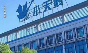 小天鵝被薅7000萬網店公布補償方案縮略圖 小天鵝被薅7000萬網店公布補償方案縮略圖