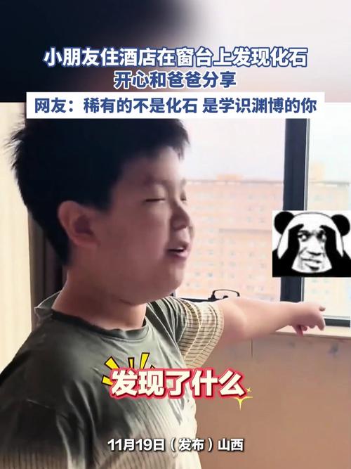 小孩哥竟然在酒店窗臺發現化石
