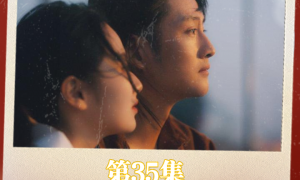 《南書知我意》短劇全集在線縮略圖