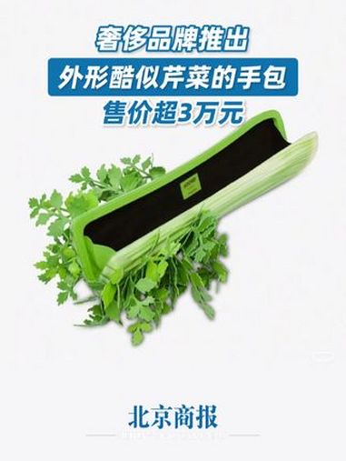 奢侈品牌推出3萬元芹菜包插圖 奢侈品牌推出3萬元芹菜包插圖