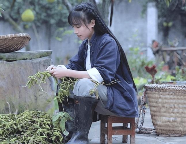 李子柒又營業了插圖