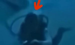 被鯊魚咬傷中國女游客已回國縮略圖