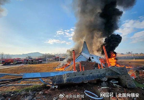 韓國(guó)客機(jī)爆炸已致179人遇難插圖