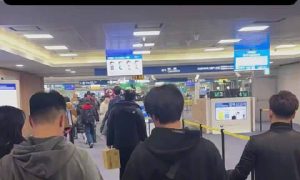 韓國(guó)人返程人手一箱青島啤酒縮略圖 韓國(guó)人返程人手一箱青島啤酒縮略圖